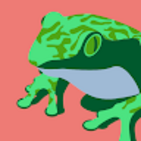 froggie0622